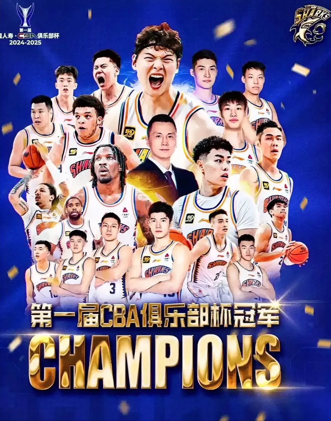 俱乐部老板换帅决策，球队前景备受关注的简单介绍