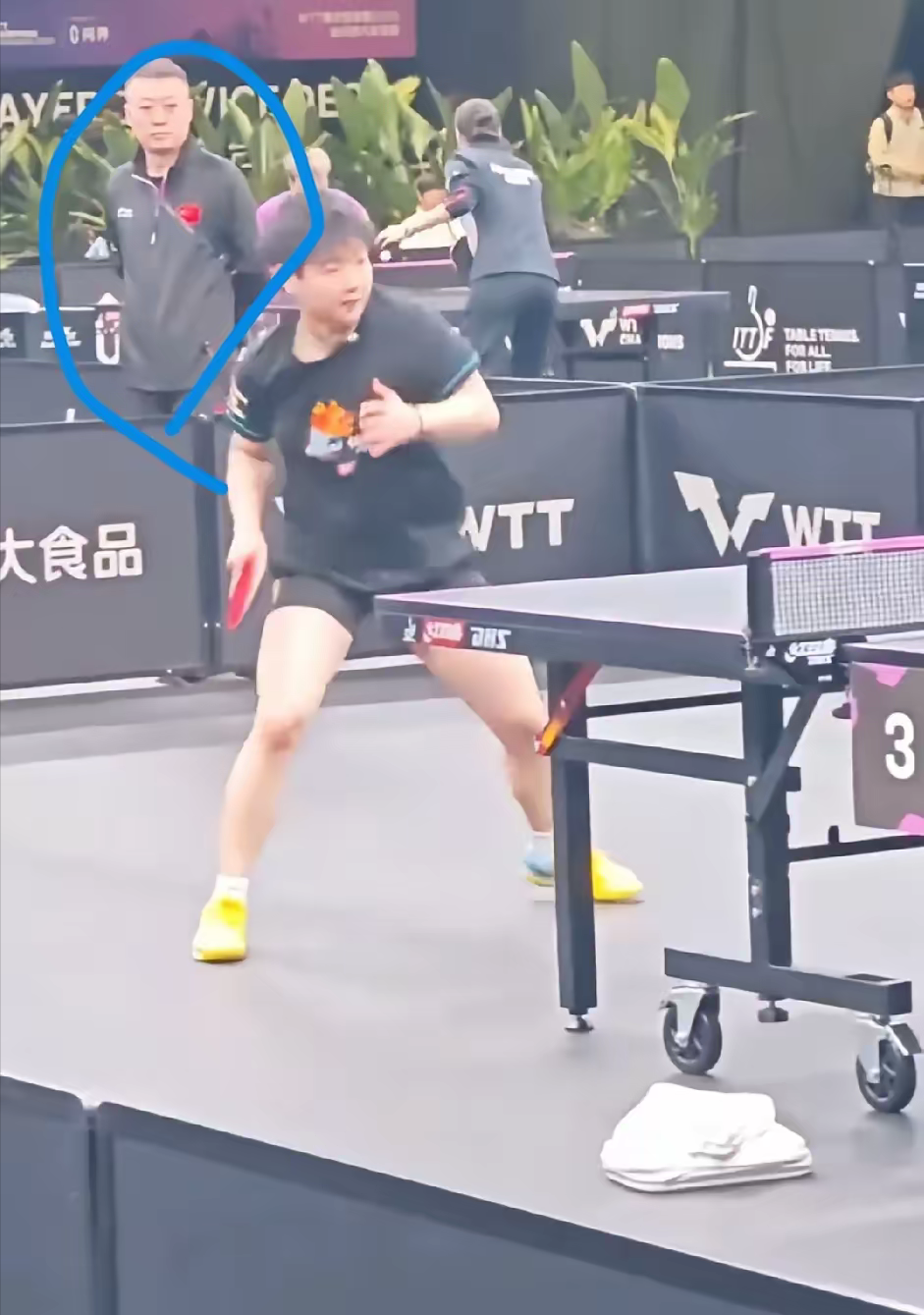 法国羽毛球队爆冷日本羽毛球队,马琳高光表现的简单介绍 法国羽毛球队爆冷日本羽毛球队,马琳高光表现的简单介绍