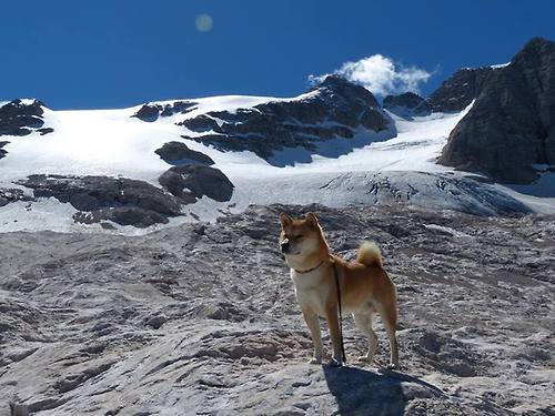 pg电子试玩网-铁壁与利刃，哥斯达黎加对阵加纳，见证硬仗之王的加冕