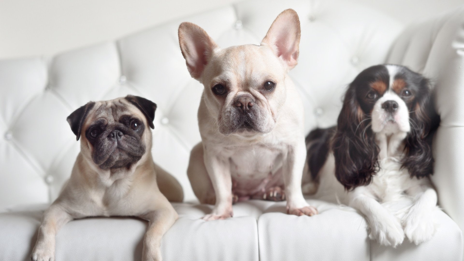 硝烟与星辉，西甲国家德比之夜，切特末节统治战局