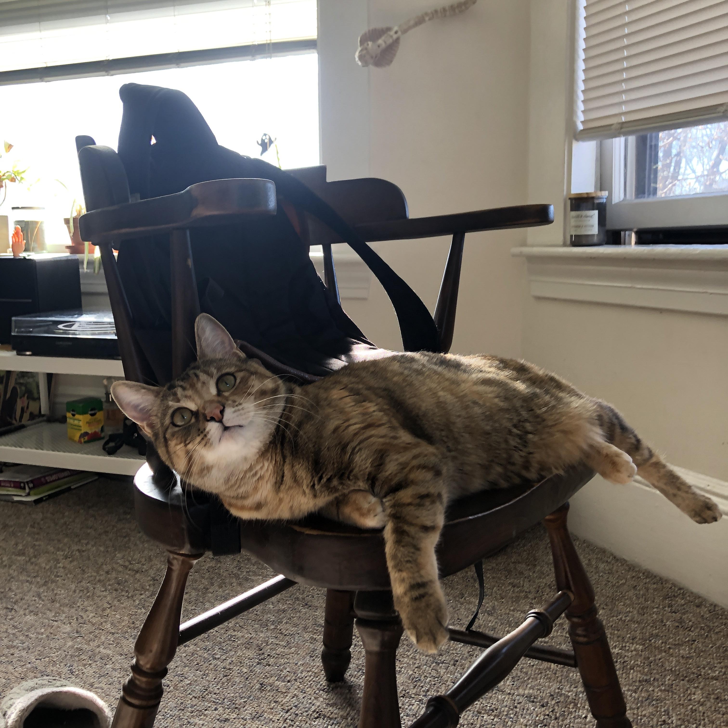 pg电子-锡安无解？掘金踏平！当篮球法则宣告，地方荣耀在绝对体系前终成齑粉