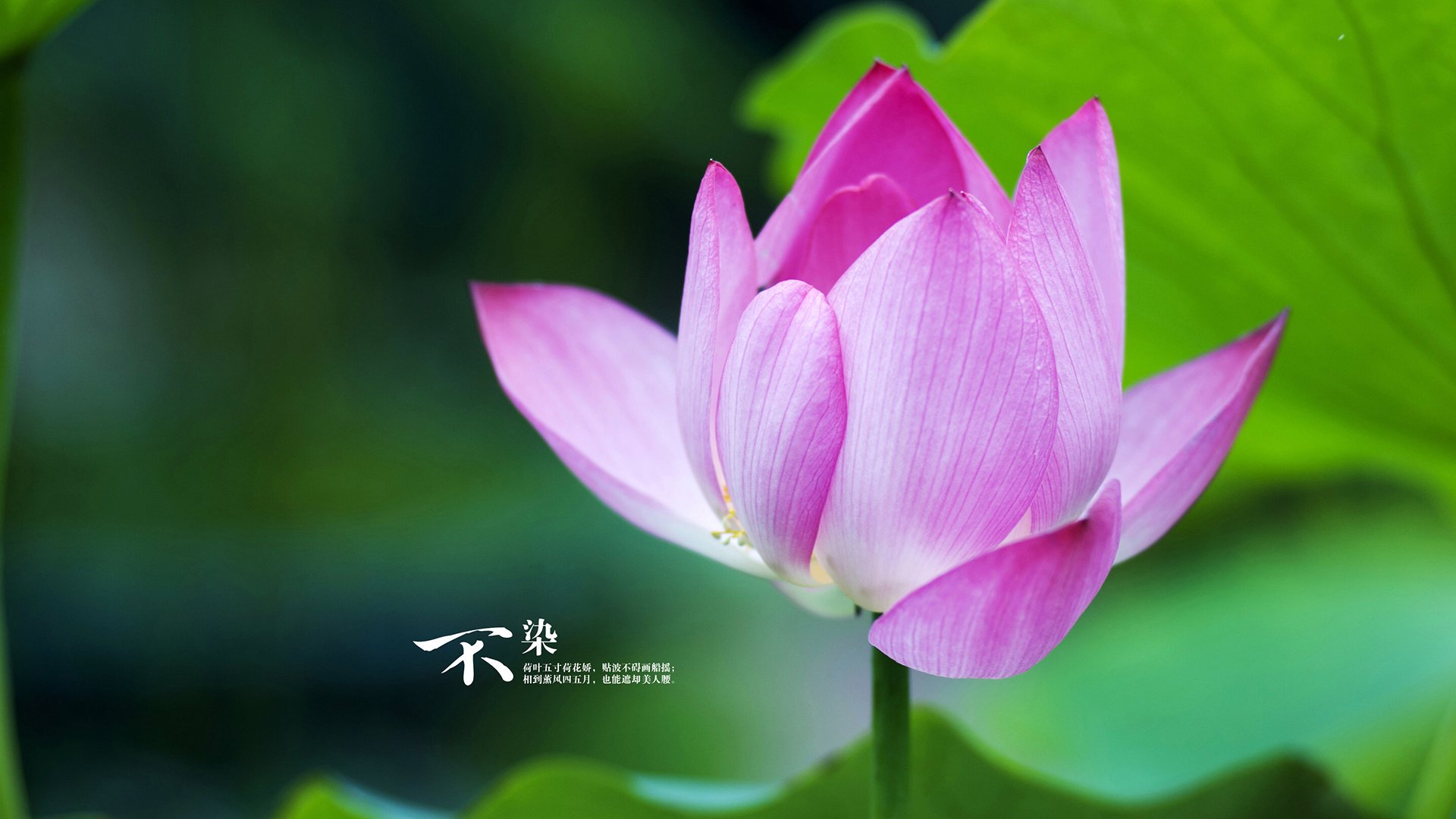 pg电子试玩-双线奏凯，富安健洋连续得分拉开差距，德国式体系全面压制希腊