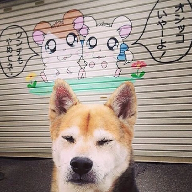 -欧战之夜的双重奏，当黄色潜艇撞击新月旗，萨卡在伦敦划破纪录的夜空