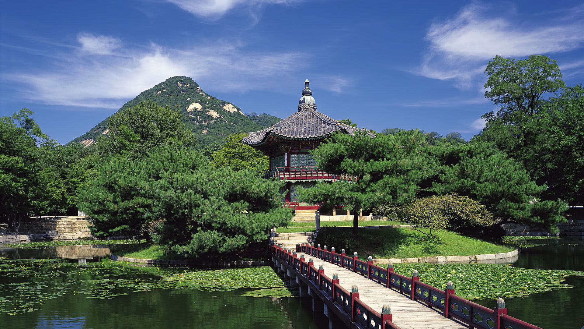 哈兰德的冠军级表现，当个人天才照亮国家队的荆棘之路