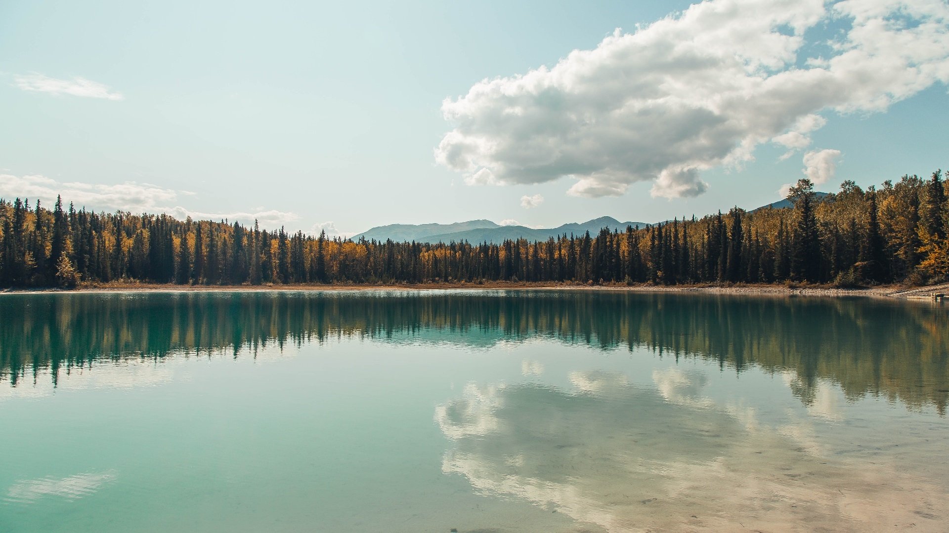钢铁意志与致命手术刀，当希腊踏平德国，卡拉斯科于西决生死战接管一切