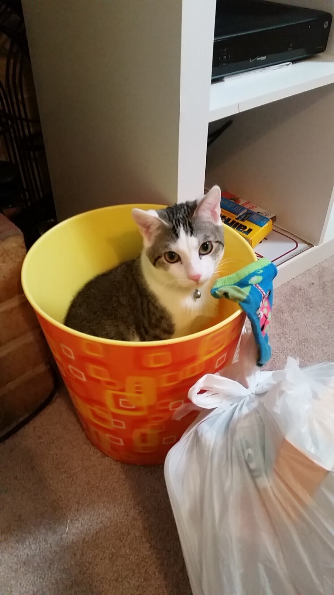 公牛强势晋级雷霆，恩比德关键先生闪耀季后赛