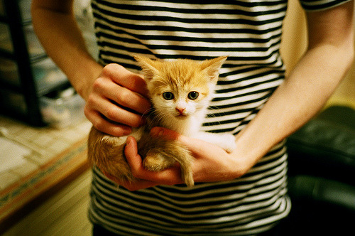 拉梅洛完全无解!爵士主场溃败,灰熊新王闪耀盐湖城