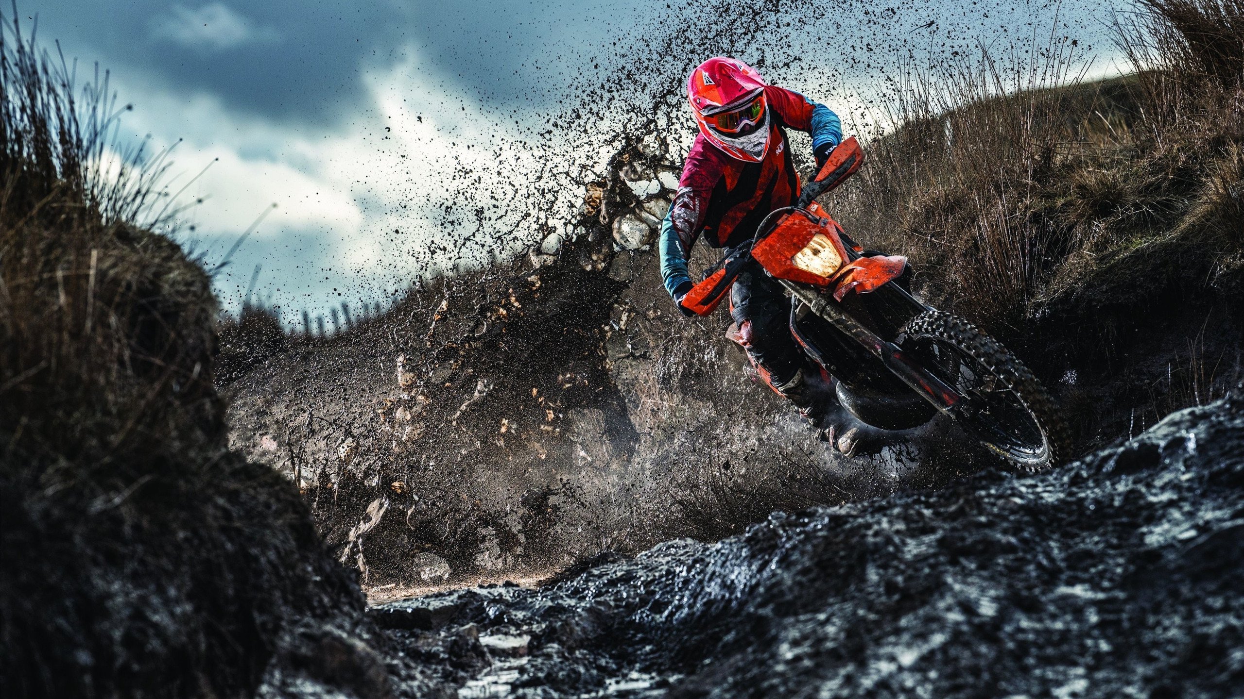 篮球场上的引擎轰鸣,凯尔特人火力压制黄蜂,东契奇如F1车手般接管年度争冠