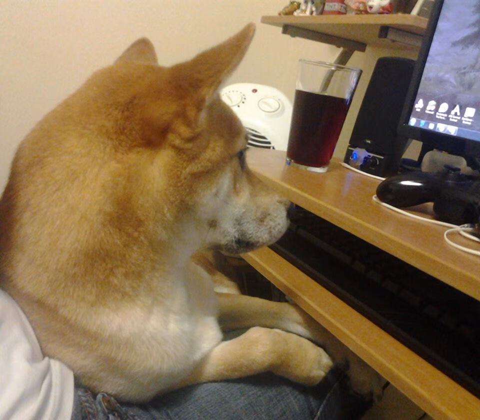 德甲争冠夜，武切维奇以节奏大师之姿，完全掌控战局