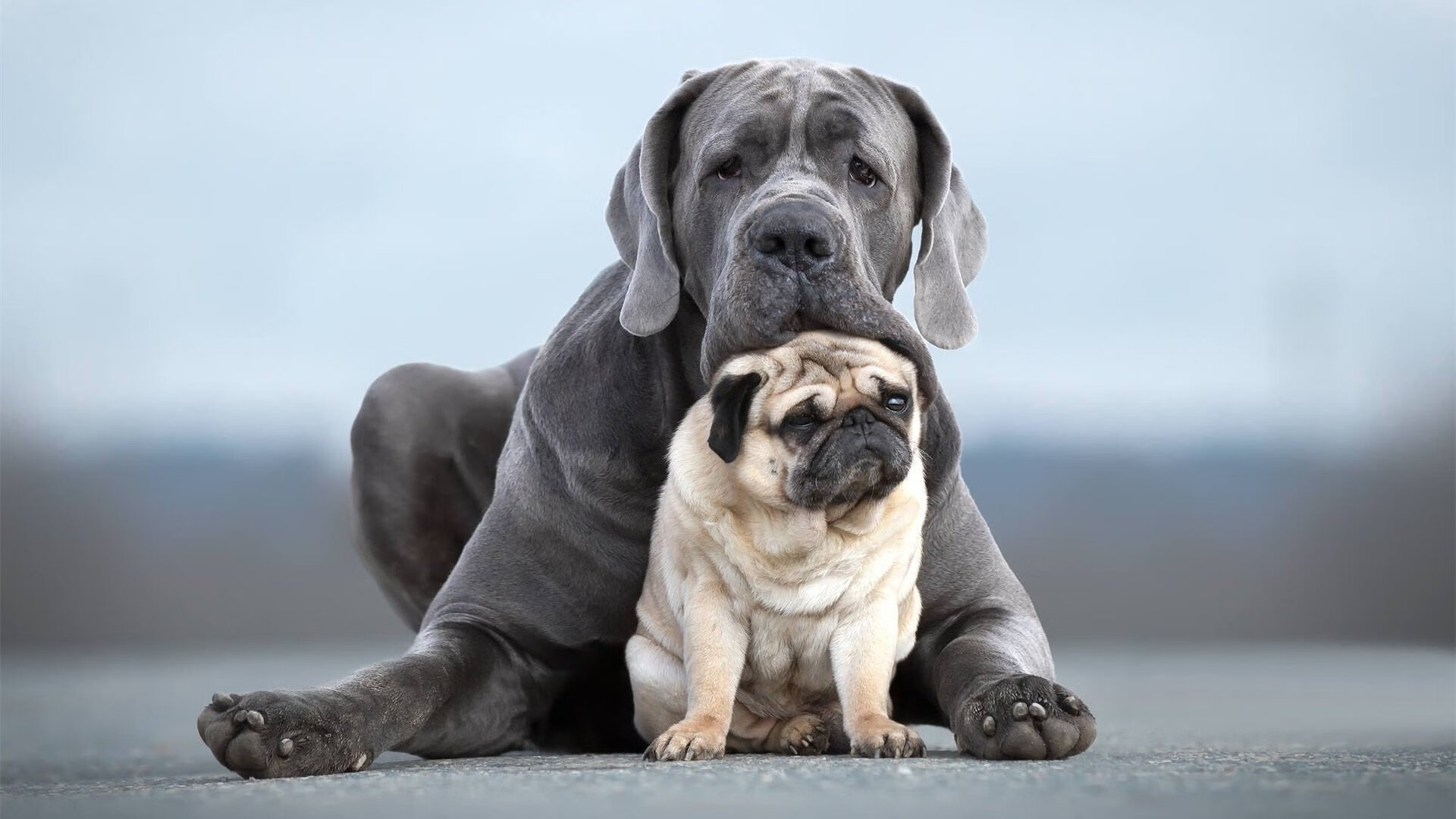 pg电子游戏-萨拉赫与希腊铁幕，当攻防转换的艺术撕碎技术流幻梦