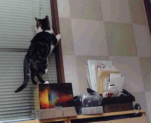 烈焰对决！杜兰特冰封迈阿密，鹈鹕决胜时刻撕裂热火