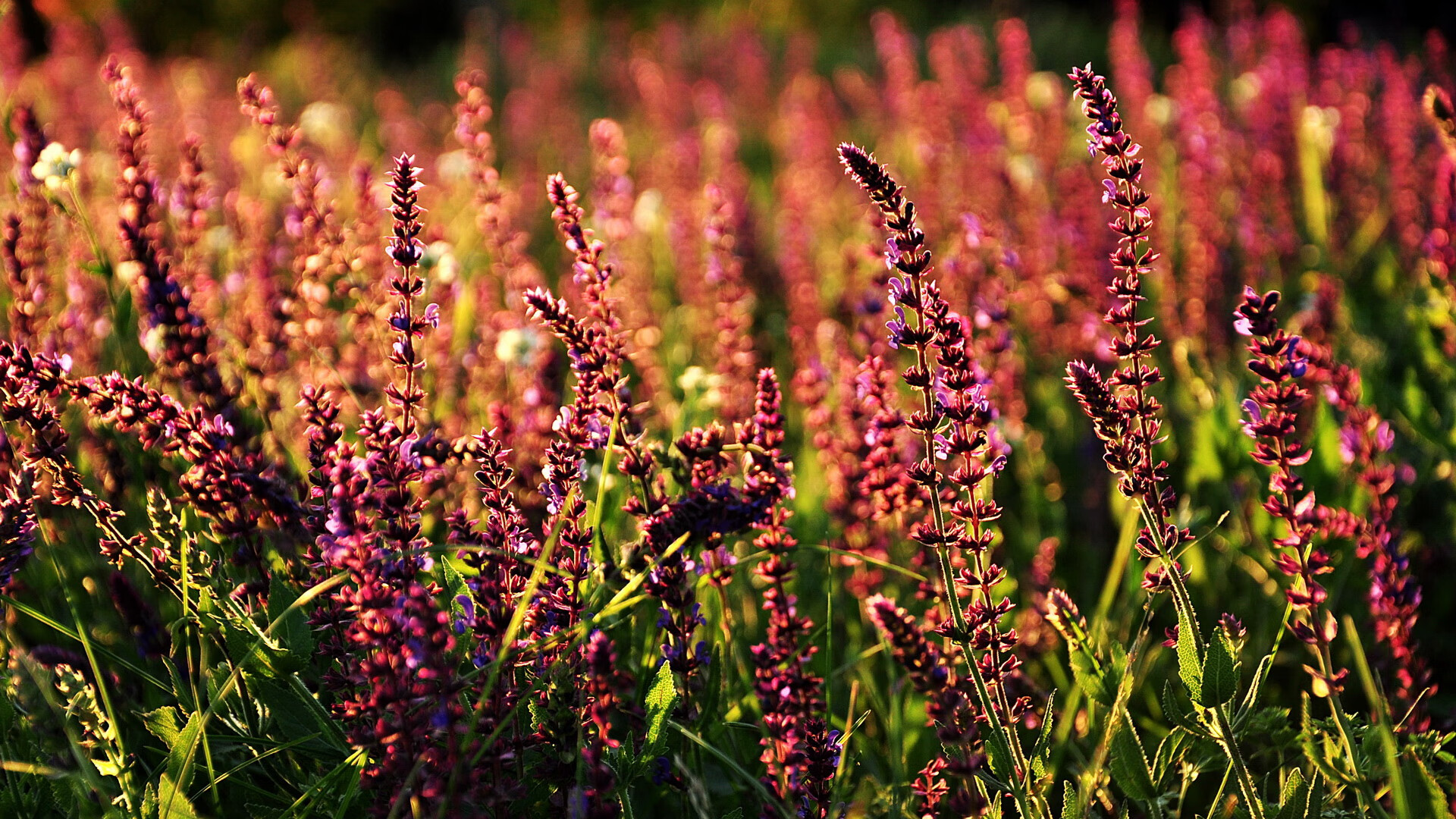 富安健洋，德国铁骑为何在这堵日本墙前撞得粉碎？