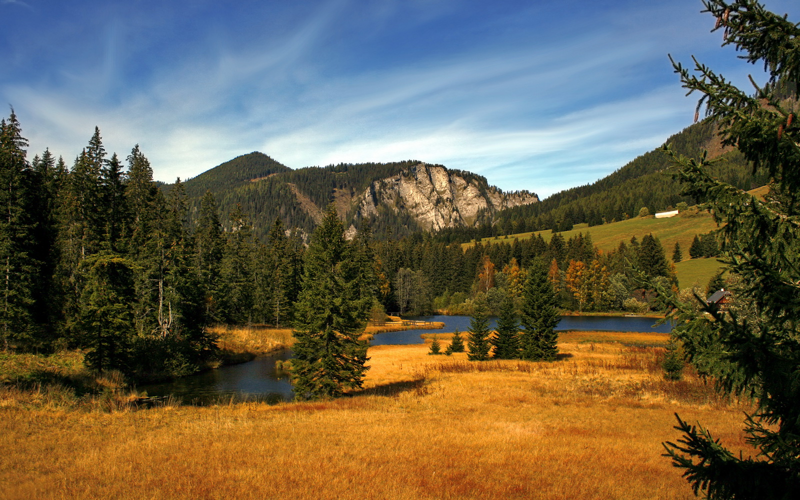 开门见红,当极致速度碰撞智慧战术