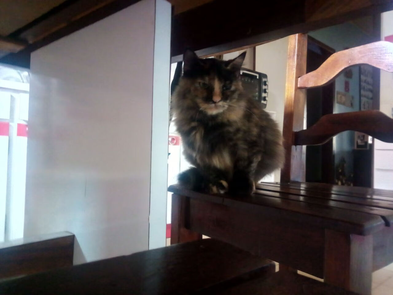 威尔士惊艳碾压尤文，C罗节奏大师风采虽败犹荣