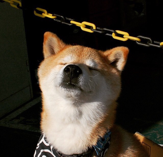 pg电子游戏-东瀛绿茵的节奏大师，劳塔罗如何成为尤文的胜负手